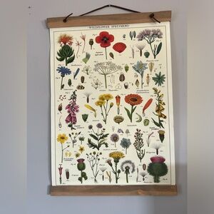 Wildflower Specimens hanging wall art